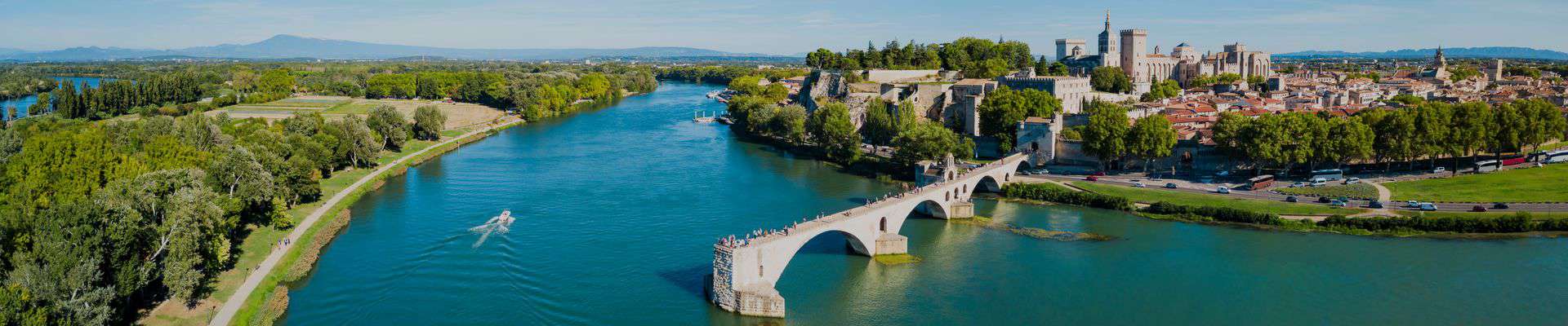 Vue d'Avignon en arrière-plan.